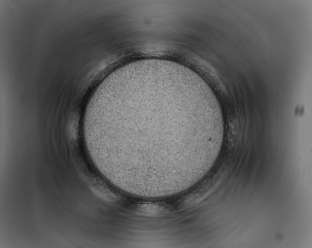 X0000102030596200808081814