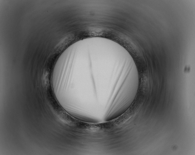 X0000102030598200808081814