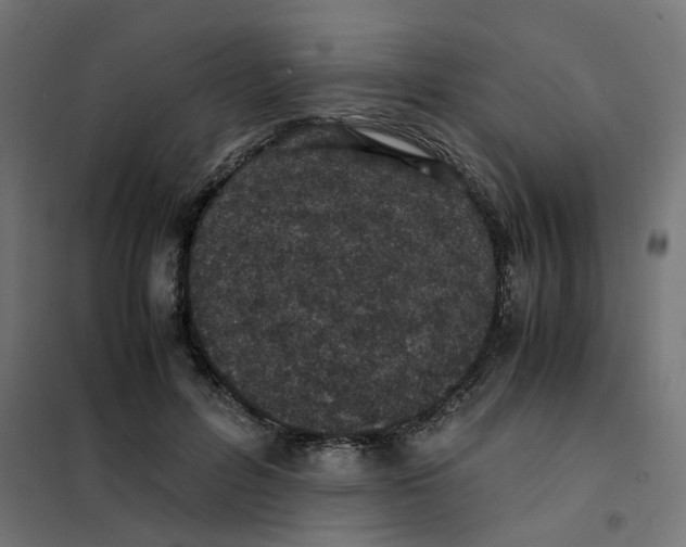 X0000102030600200808081814