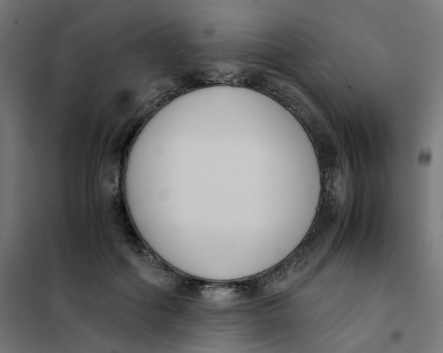 X0000102030602200808081814