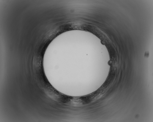 X0000102030603200808081814