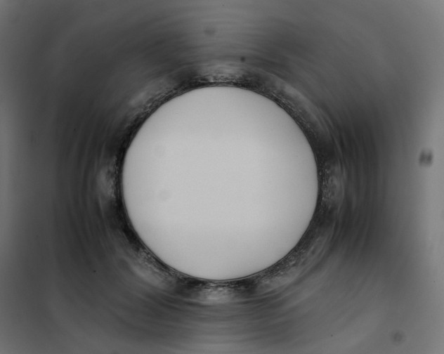 X0000102030604200808081814