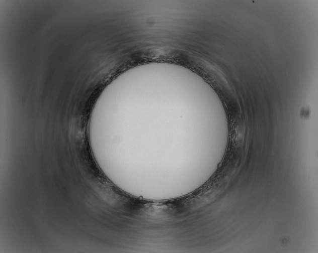 X0000102030607200808081814