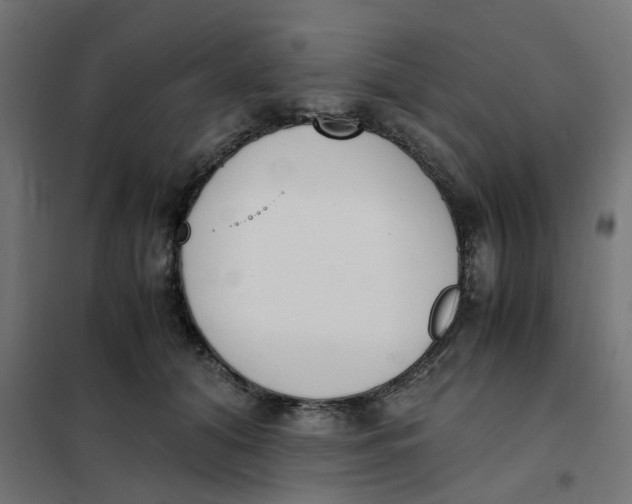 X0000102030608200808081814