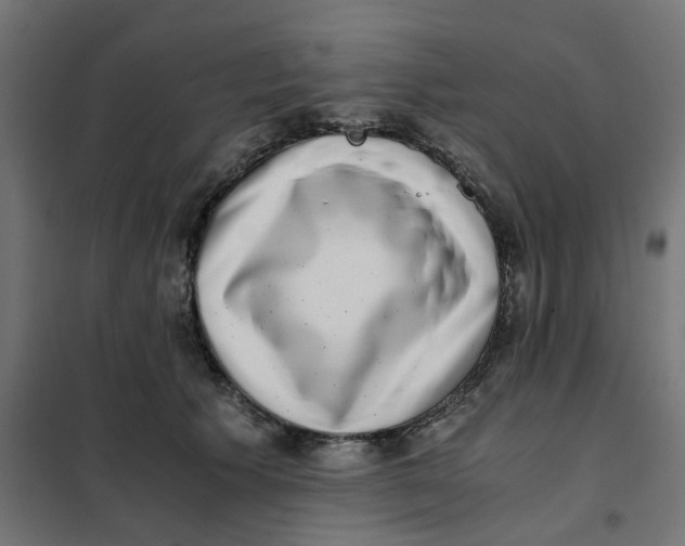 X0000102030609200808081814