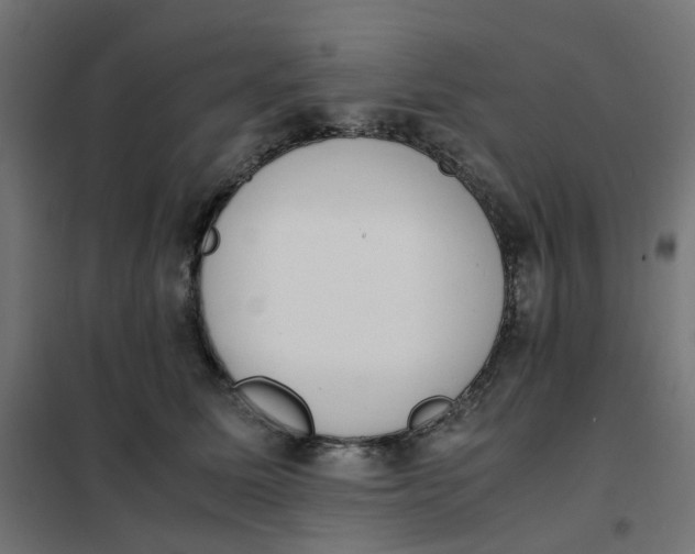 X0000102030611200808081813