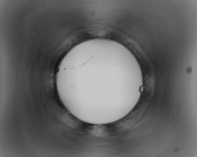 X0000102030612200808081813