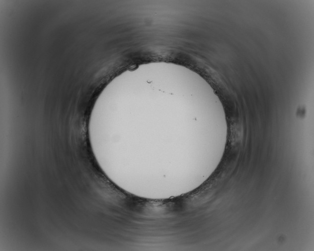 X0000102030613200808081813