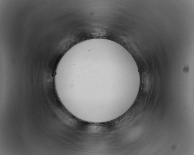 X0000102030614200808081813