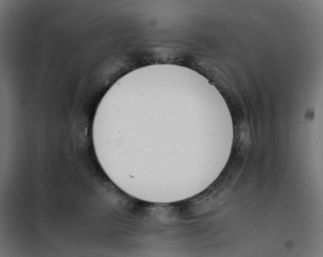 X0000102030615200808081813