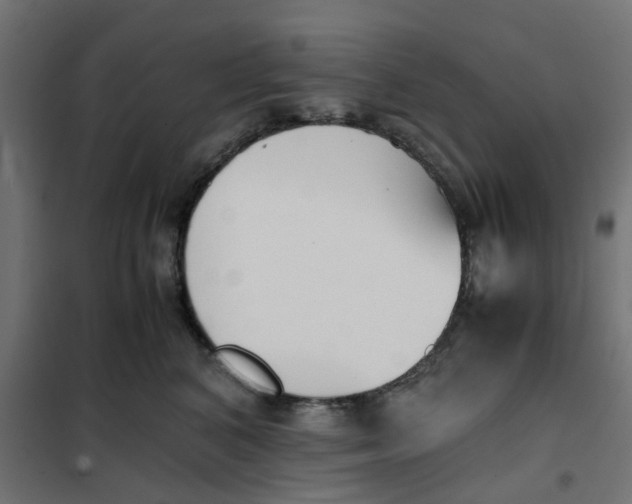 X0000102030616200808081813