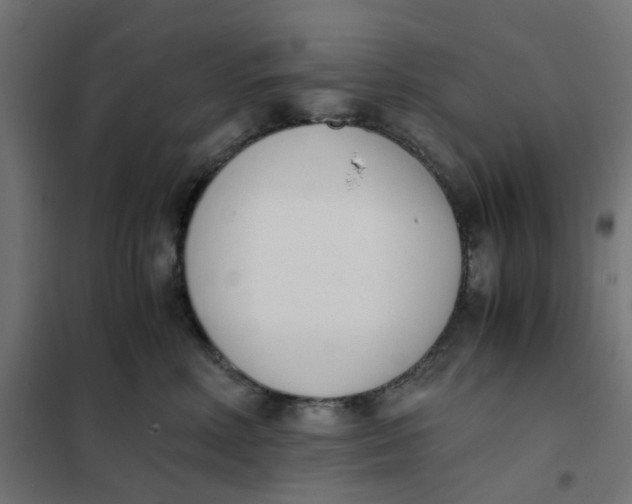 X0000102030618200808081813