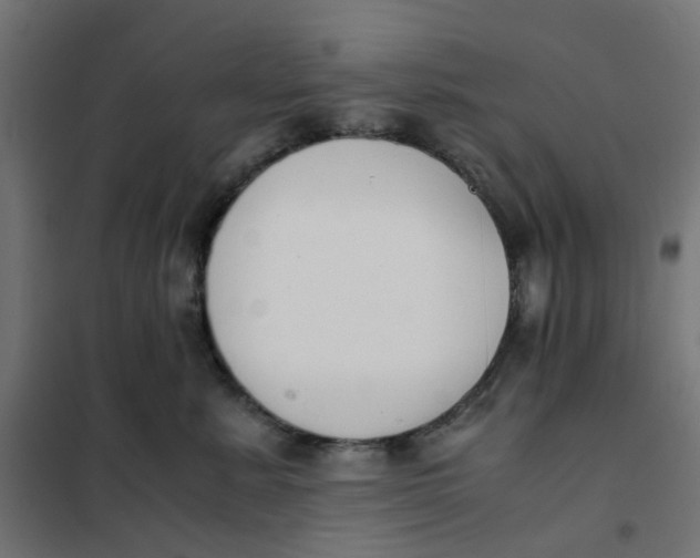 X0000102030619200808081813