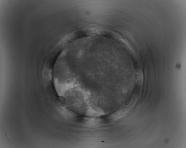 X0000102030621200808081813