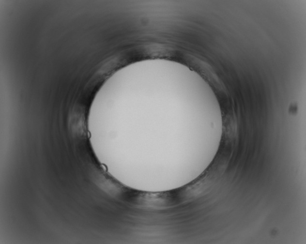 X0000102030622200808081813