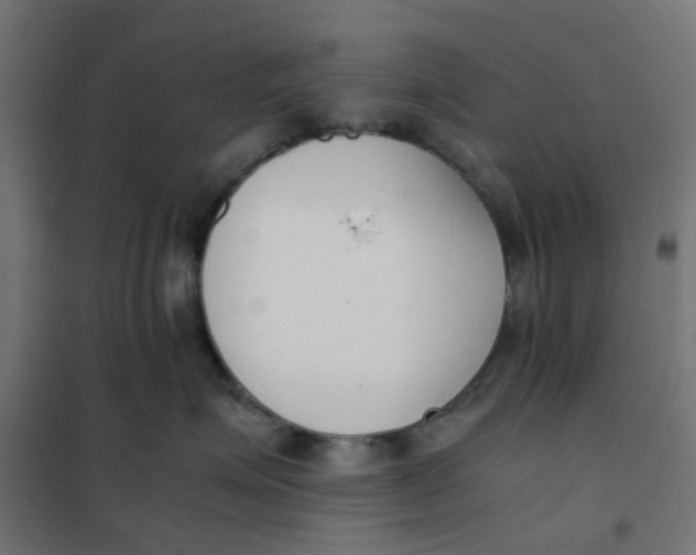 X0000102030623200808081813