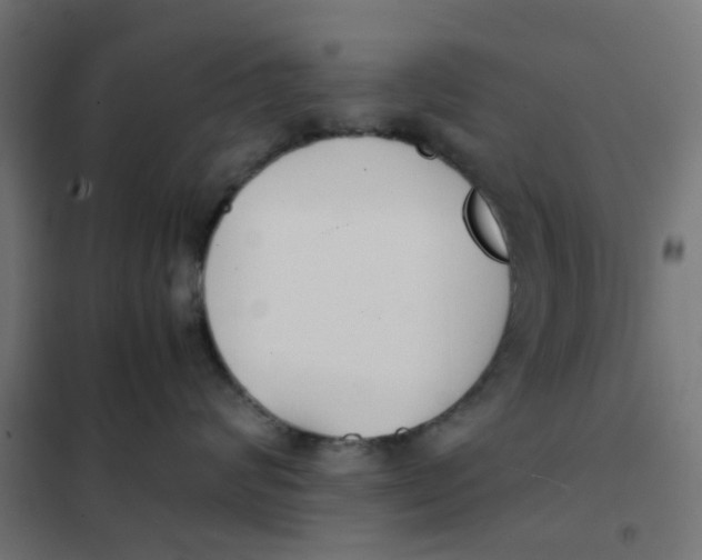 X0000102030624200808081813