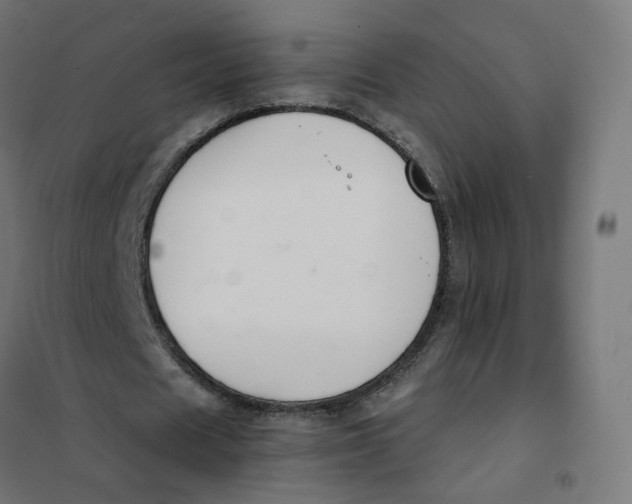 X0000102030625200808081812