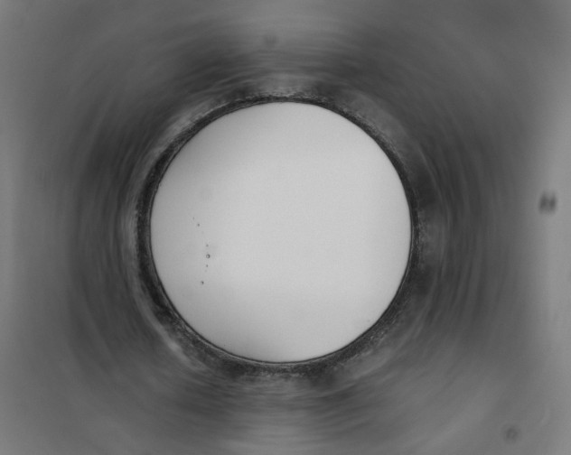 X0000102030626200808081812