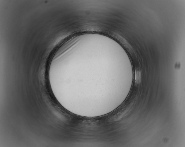 X0000102030627200808081812