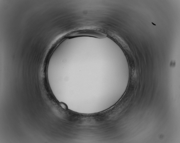 X0000102030628200808081812