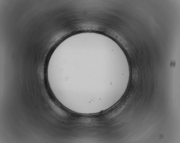 X0000102030629200808081812