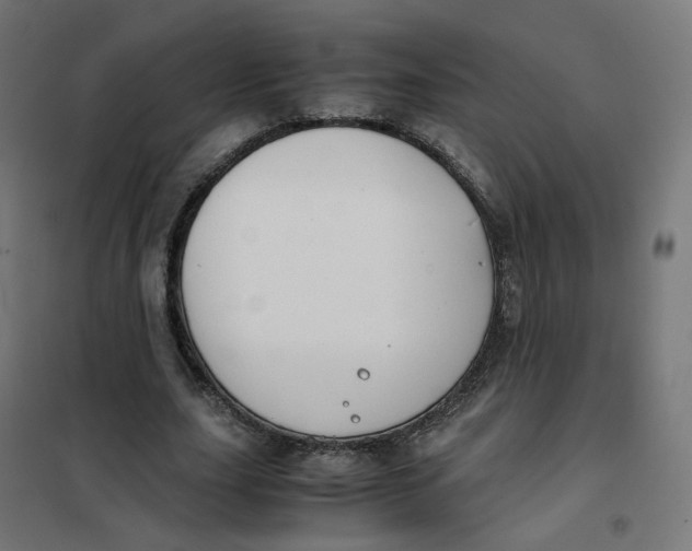 X0000102030631200808081813