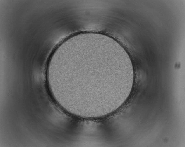 X0000102030632200808081813