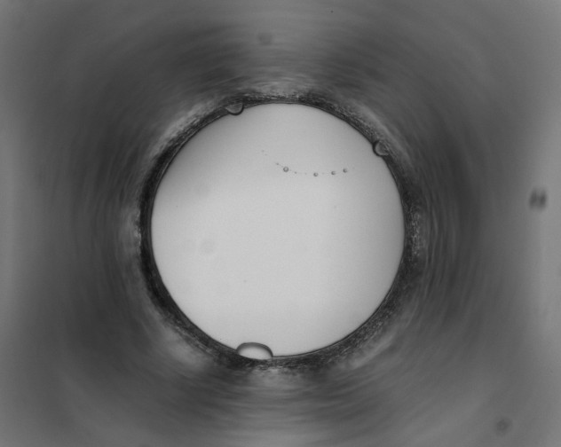 X0000102030634200808081813