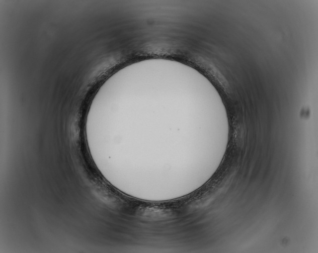 X0000102030635200808081813