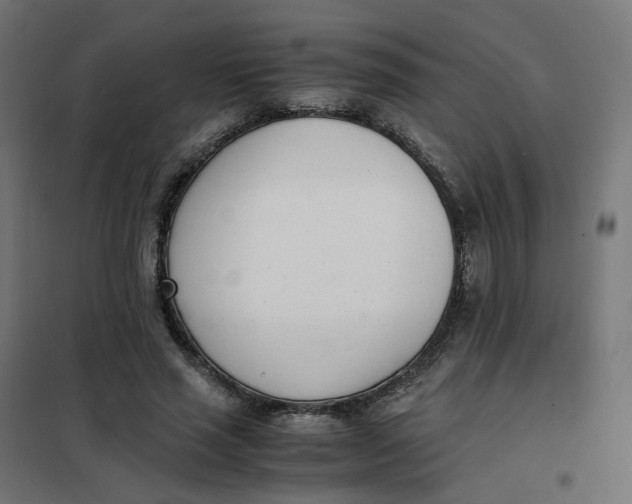 X0000102030637200808081813