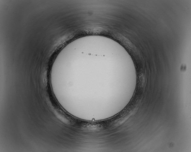 X0000102030638200808081813