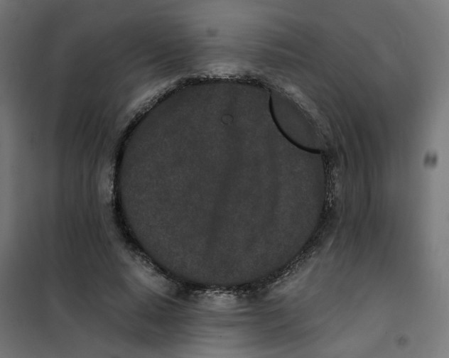 X0000102030640200808081813