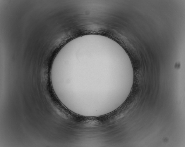 X0000102030642200808081813