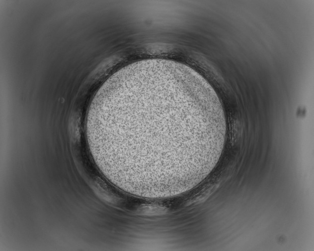 X0000102030644200808081813