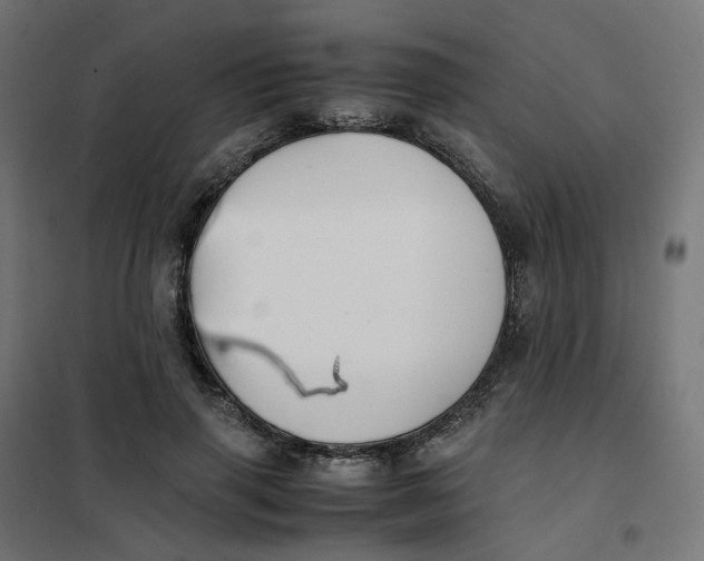 X0000102030645200808081813