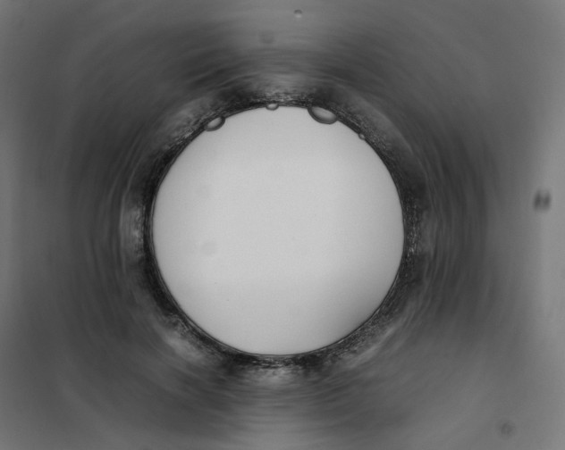 X0000102030646200808081813