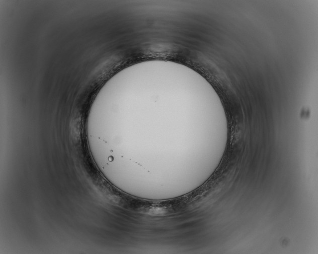 X0000102030647200808081813