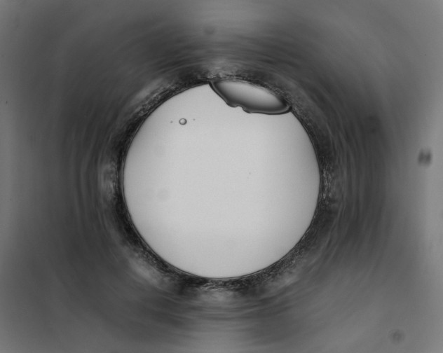 X0000102030648200808081813