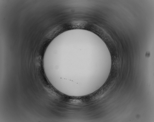 X0000102030649200808081813