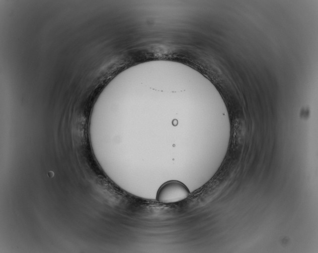 X0000102030650200808081813