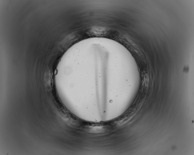 X0000102030651200808081813