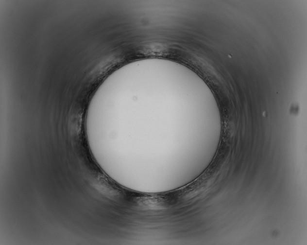 X0000102030652200808081813