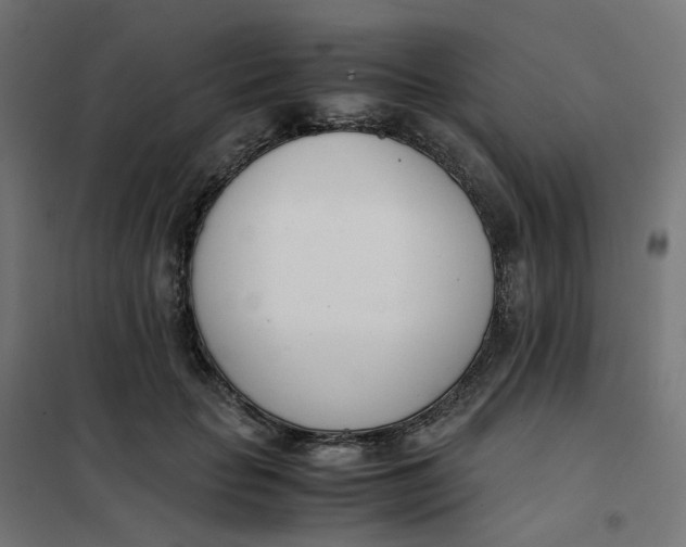 X0000102030653200808081813