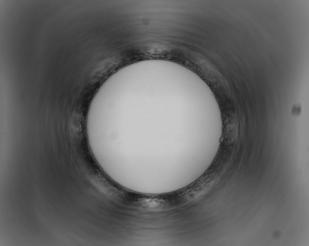 X0000102030654200808081813