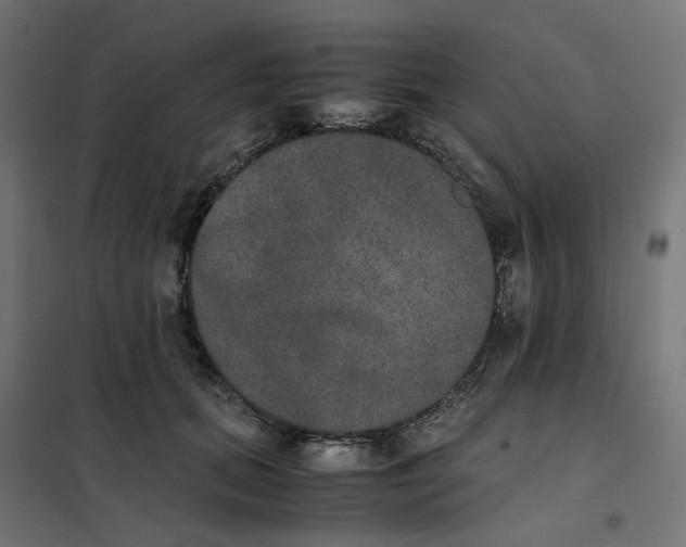 X0000102030655200808081813