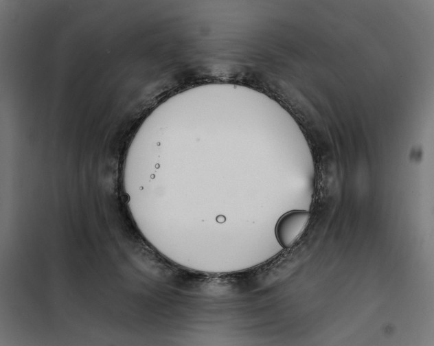 X0000102030656200808081813