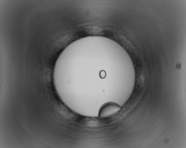 X0000102030658200808081813