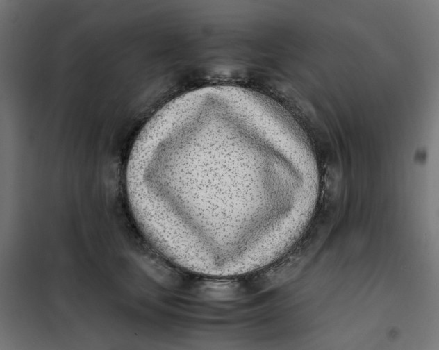 X0000102030659200808081813