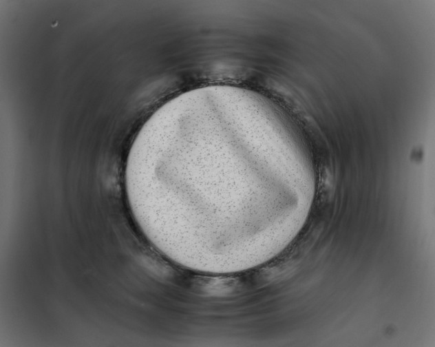 X0000102030663200808081813